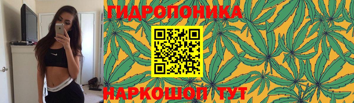 Бошки Шишки AK-47 Рассказово